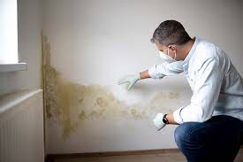 Forensic Mold Investigation in Beverly, OH